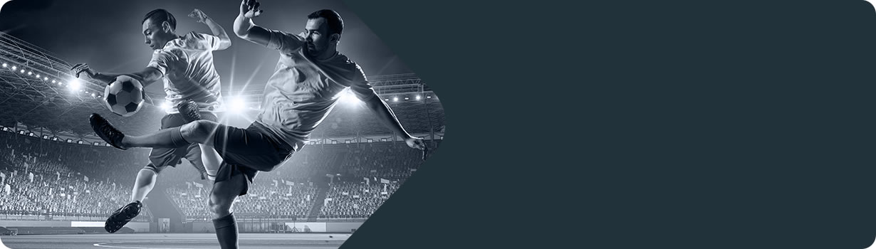 how do you solve a sudoku puzzle
